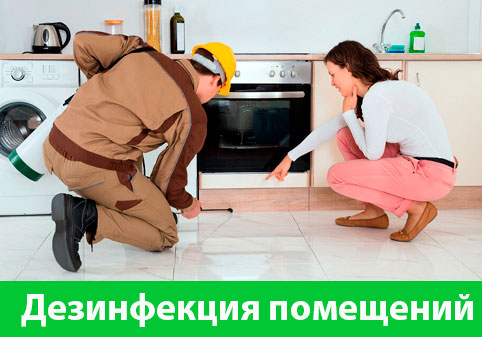 Дезинфекция офисов от коронавируса в городе Тамбов