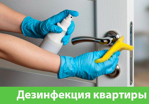 Дезинфекция квартиры в городе Тамбов