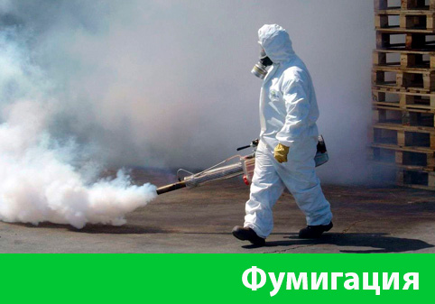 Фумигация в городе Тамбов