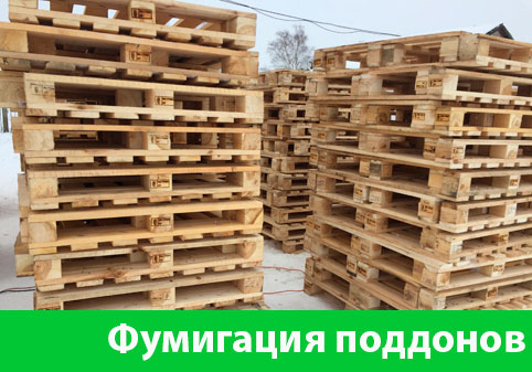 Фумигация поддонов в городе Тамбов