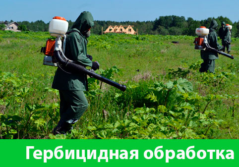 Гербицидная обработка в городе Тамбов