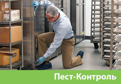 Пэст-Контроль в городе Тамбов