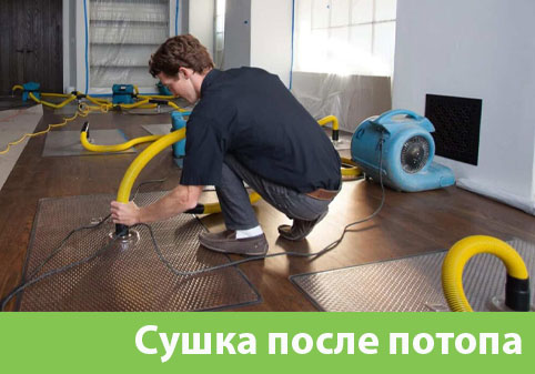 Сушка после потопа в городе Тамбов