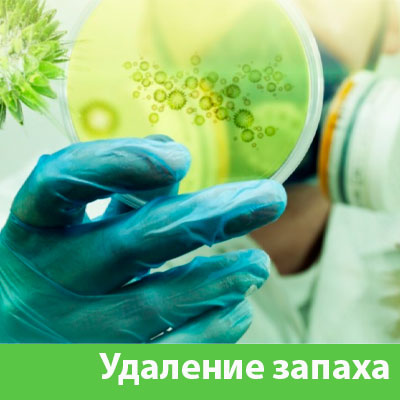 Удаление запахов в Тамбове