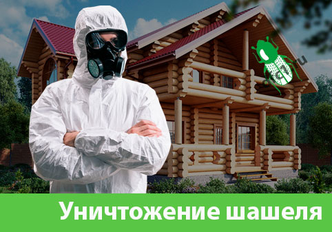 Уничтожение шашеля и личинок в Тамбове