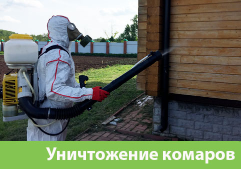Уничтожение комаров в городе Тамбов